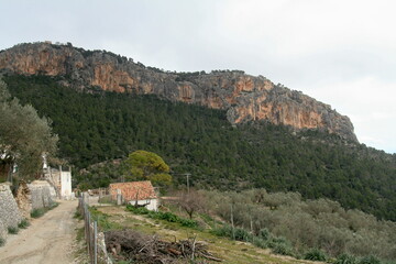 Fototapeta na wymiar Mallorca - Blick auf Castell d' Alaro
