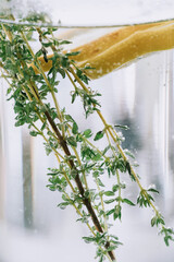 Infused fresh water with lemon and thyme in a glass decanter close up