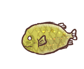 R:メルヘンなかわいい深海魚 マツカサウオ１