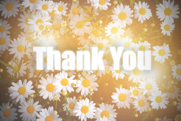 Fototapeta na wymiar Thank You handwritten inscription. Hand drawn lettering. Thank You calligraphy. Thank you card. Vector illustration. Wild daisy flowers growing on meadow. Meadow with lots of white.