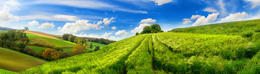 Panoramic rural landscape with idyllic vast green barley fields on hills and trails as lines...
