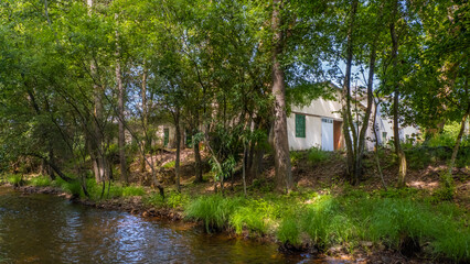 Fototapeta na wymiar country house covered in greenery
