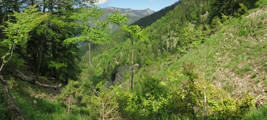 Auf halben Weg zum Geigelstein