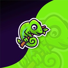 premium chameleon vector logo concept