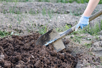 Close up woman digs soil with metal shovel. Digging ground for plant seeding.