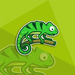 premium chameleon vector logo concept