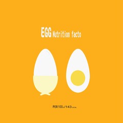 illustration vector graphic egg nutrition,  good for design background your company egg nutrition