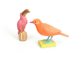 Bright tropical bird isolated on a white background