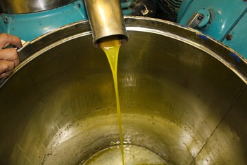 Extra virgin olive oil extraction process in olive oil mill in Greece.