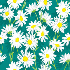 White chamomile flowers isolated on turquoise background, medicinal plant. Hand drawn seamless floral pattern.