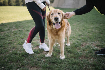 Cropped girl holding dog on leash in park. Woman's hand petting retriever dog in nature near cropped girl holding dog's lead.