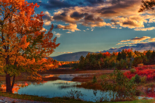 Afternoon in Acadia National park in October, with tress aglow, and beautiful reflections in pond
