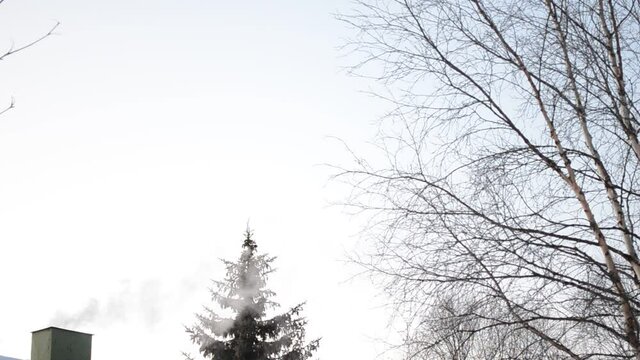 white woodburning smoke from chimney in winter