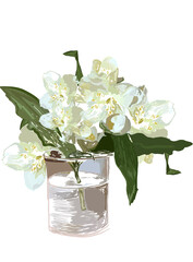 Inflorescence of Philadelphus on a short petiole with several leaves dipped, cut flowers in a glass of water 