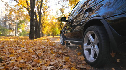 Black SUV driving fast through street leaving track with dust and flying yellow foliage behind....