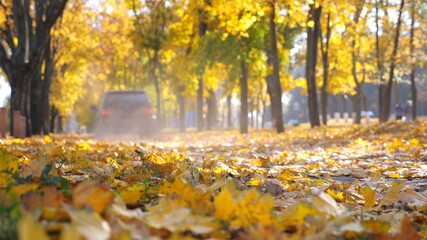 Black SUV driving fast through empty street over fallen vivid autumn leaves. Powerful car riding along urban autumn park at sunny day. Scenic autumnal environment. Blurred background. Slow motion