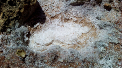 Dry puddle with salt. White crystals. Elafonisos Greece