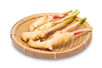 Obraz premium Fresh slices galangal rhizomes in wooden dish isolated on white background with clipping path