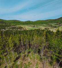 Aerial view to the forest in the mountains with some trees choopped down at the foreground and beautiful mountains at the background. 