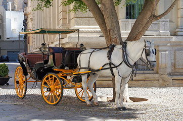Pferdekutsche im Schatten - Sevilla/Andalusien/Spanien/Europa