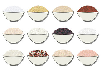 Set of rice in bowl. Hand drawn vector illustration