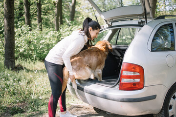 Woman putting dog in opened trunk. Brunette girl and dog going home after a walk in park.