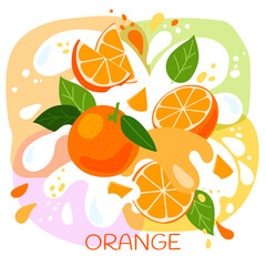vector illustration of an organic orange milkshake or fruit drink. ripe orange fruits with splash of milk and bright fresh orange juice background. eco concept for a natural mango smoothie label.