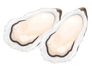 牡蠣のイラスト_2個