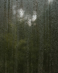 condensation droplets in a window glass, green nature abstract background