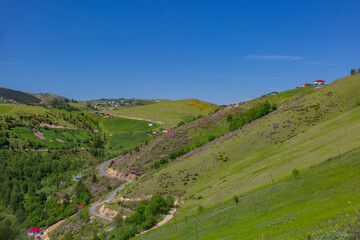 Fototapeta premium The magnificent nature of the Black Sea