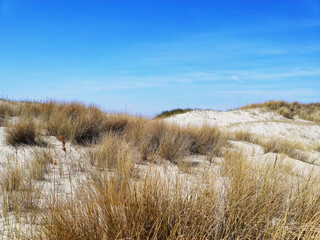 Fototapeta premium Photo of dunes and white sand beach at Baltic sea