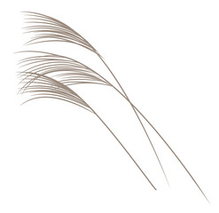 Japanese style vector plant reed