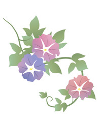 Japanese style vector morning glory flower