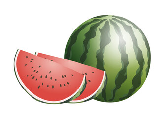 Japanese style vector fruit water melon