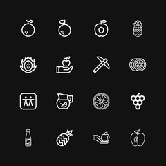 Editable 16 juicy icons for web and mobile