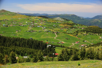 The magnificent nature of the Black Sea