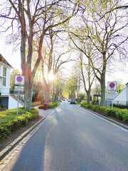 Sunset on cozy street with parked cars and trees