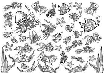 Naklejka premium coloring book fish starfish jellyfish ocean nature marine life underwater world graphics vector outline set poster for drawing
