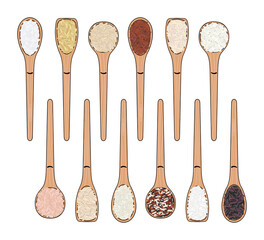 Set of spoons with rice. Top view.