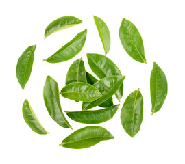 Green tea leaf isolated on white background