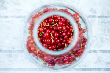 Redcurrant in glass bottle.Macro image.