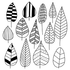 Set of Rustic Vintage Hand drawn florals and laurels. Can be used for wedding invitations, scrapbooking, wrapping.