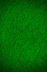 Artificial grass background	 - 356461736