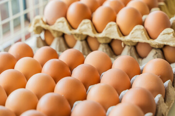 Fresh brown chicken eggs in paper tray. Organic food, farming concept. Close-up stock photo.