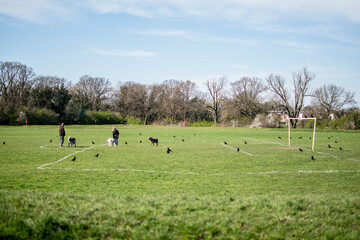 Obraz premium people in playing field
