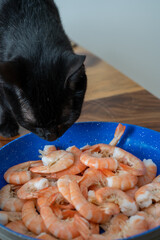 Black cat trying to eat or steal shrimp