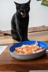 Black cat trying to eat or steal shrimp