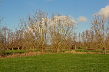 flamish farm landscape