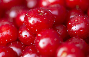 Fresh sweet cherries with drops of water. Macro image.