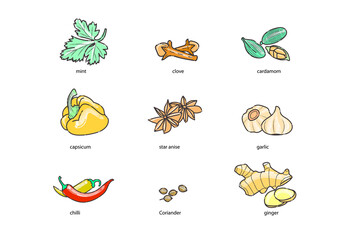 Obraz premium spices, condiments and herbs